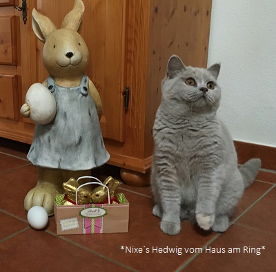 Hedwig2