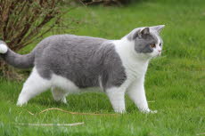 FidelioAprilGarten